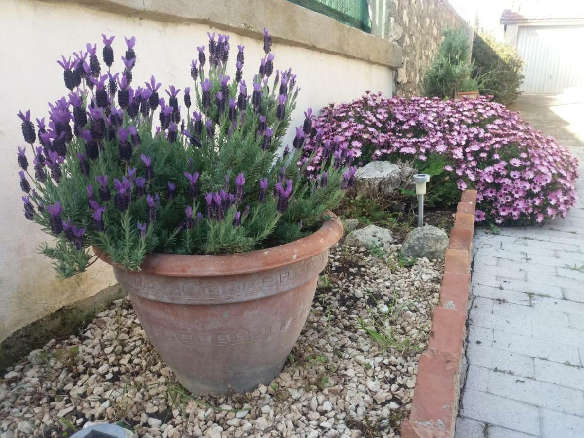 Bed and Breakfast Il Vaso Di Creta Ragusa Exterior foto